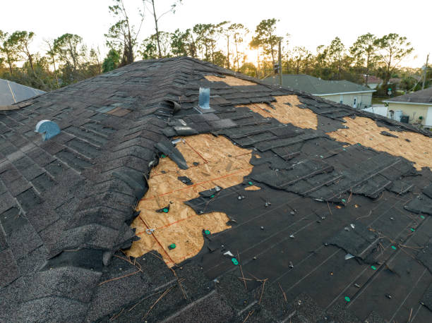 Hot Roofs in Holly Lake Ranch, TX