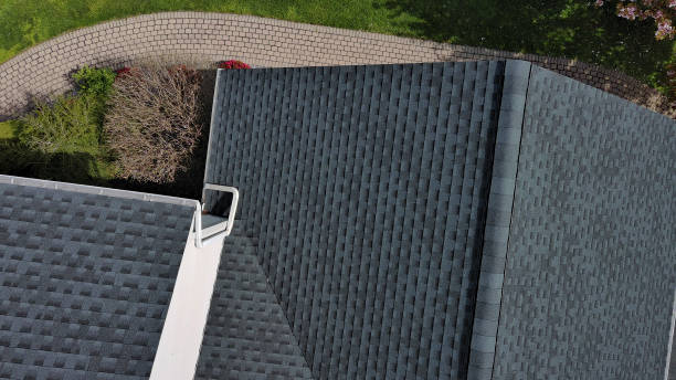 Best Roof Coating and Sealing  in Holly Lake Ranch, TX